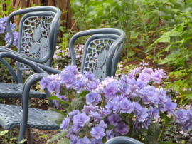 バラクラ英国庭園ベンチ