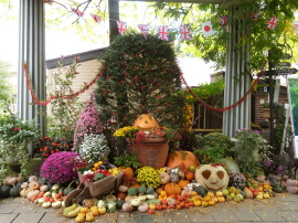 バラクラ英国庭園