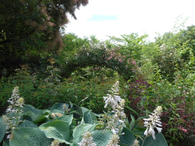 バラクラ英国庭園