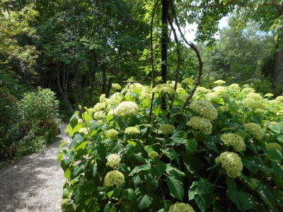 バラクラ英国庭園