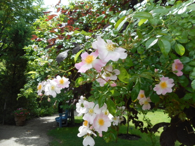 バラクラ英国庭園