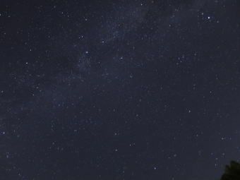 お客様撮影写真