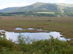 八島ケ原湿原