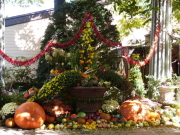 バラクラハロウィン