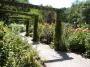 バラクライングリッシュガーデン