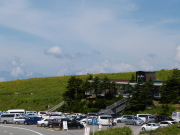 ニッコウキスゲ