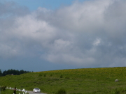 ニッコウキスゲ