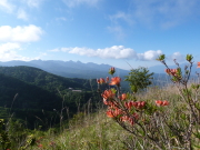 八子が峰からの眺望