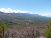東急トレッキングコース画像