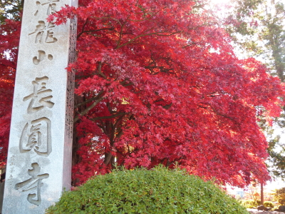 長円寺紅葉