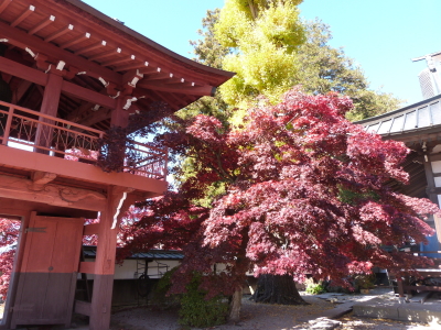 長円寺紅葉