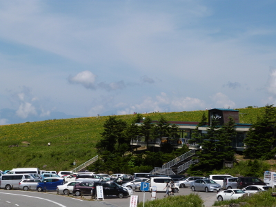 ニッコウキスゲ車山肩