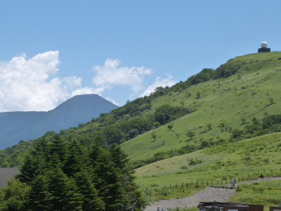 ニッコウキスゲ車山肩