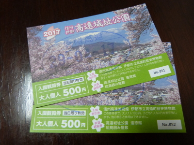 高遠城址公園のタカトウコヒガンザクラ