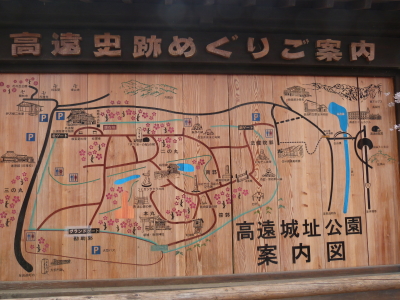 高遠城址公園のタカトウコヒガンザクラ