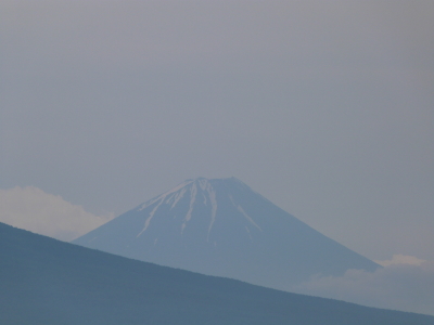 ニッコウキスゲ