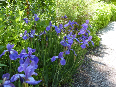 バラクライングリッシュガーデン