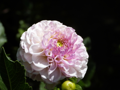 バラクライングリッシュガーデン