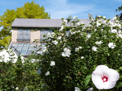 バラクライングリッシュガーデン