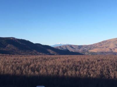 夕陽の丘公園画像