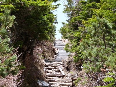北八ヶ岳ロープウェイ画像