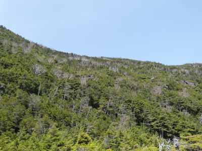 北八ヶ岳ロープウェイ画像