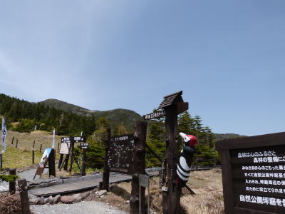 北八ヶ岳ロープウェイ画像