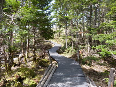 北八ヶ岳ロープウェイ画像