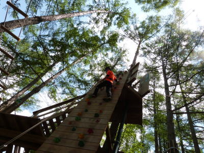 フォレストアドベンチャー画像