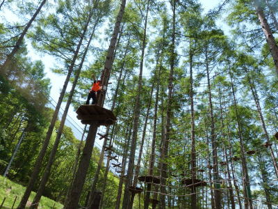 フォレストアドベンチャー画像