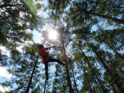 フォレストアドベンチャー画像