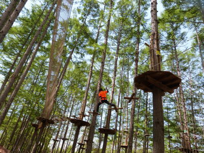 フォレストアドベンチャー画像