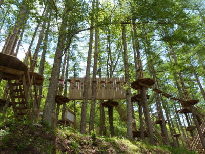 フォレストアドベンチャー画像