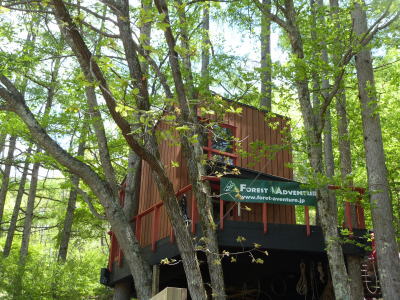 フォレストアドベンチャー画像