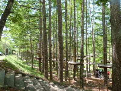 フォレストアドベンチャー画像