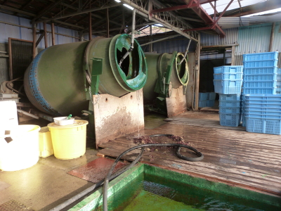 寒天作り「イリセン」さん画像