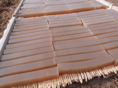 寒天作り「イリセン」さん画像