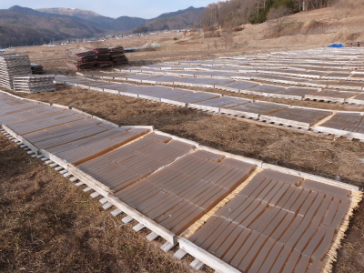 寒天作り「イリセン」さん画像