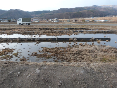 寒天作り「イリセン」さん画像