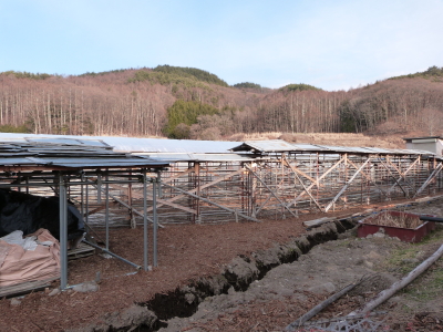 寒天作り「イリセン」さん画像