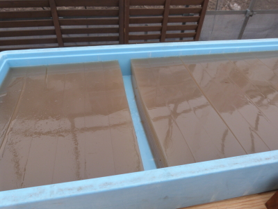 寒天作り「イリセン」さん画像