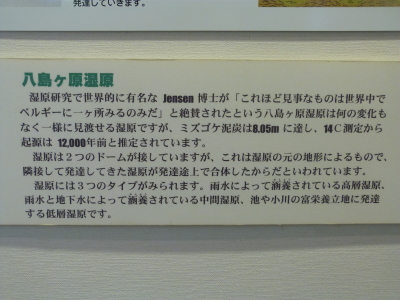 八島が原湿原画像