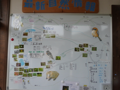 八島が原湿原画像