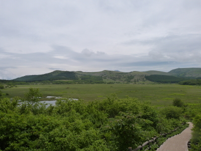 八島が原湿原画像
