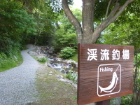 東急渓流釣り