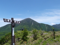 東急トレッキングコース