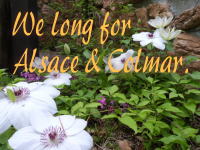 リフォーム案内