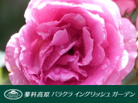 バラクライングリッシュガーデン