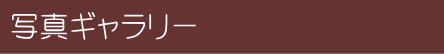 写真ギャラリー