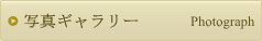 写真ギャラリー